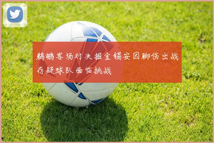 鹈鹕客场对决掘金锡安因脚伤出战存疑球队面临挑战