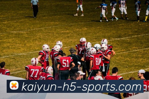 开云体育APP 高清赛事图