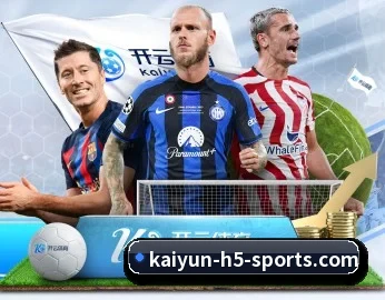 开云体育 APP 深度功能 | kaiyun